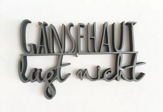 GÄNSEHAUT LÜGT NICHT Mausgrau